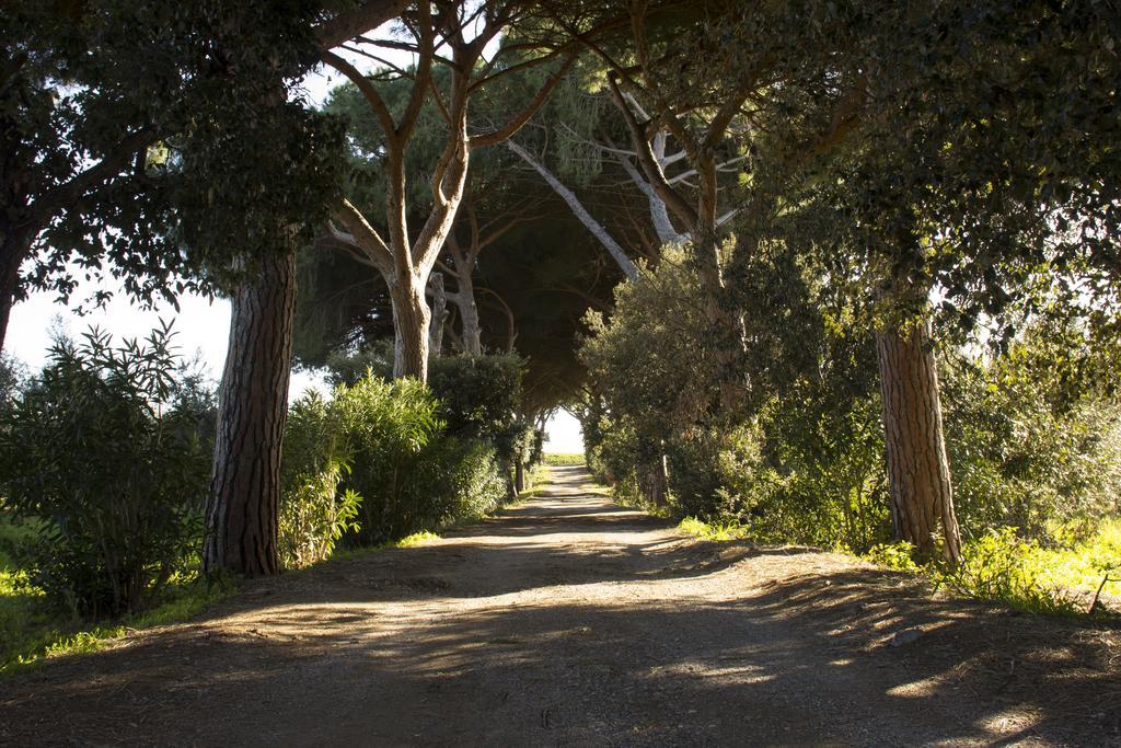 Agriturismo Monte Alzato Capalbio Exterior photo